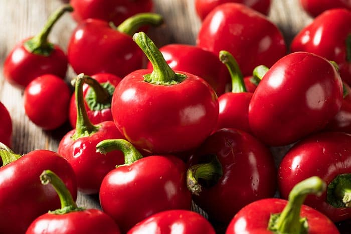 تصویر 5 از قیمت خرید فلفل دلمه ای مینیاتوری + فروش ویژه